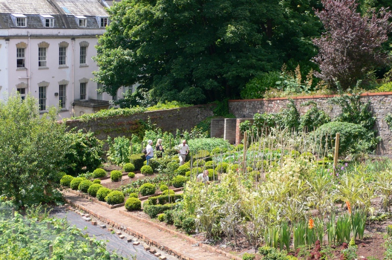 Ewa In The Garden 24 Beautiful Photos Of Edible Landscape Ideas