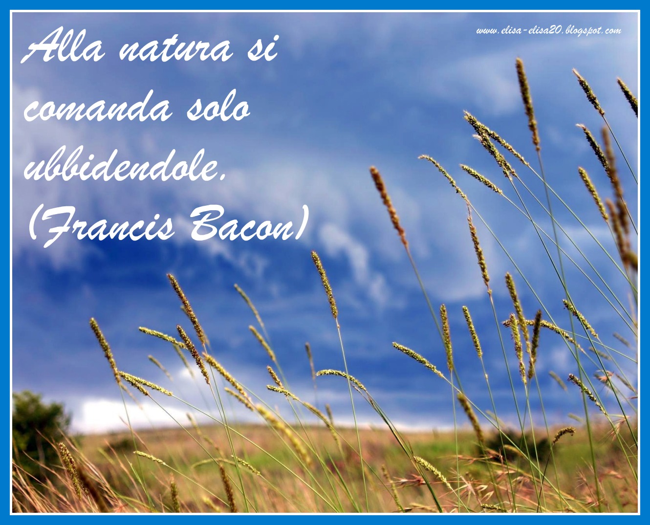 I Sentieri Della Ragione Aforismi Citazioni Frasi Sulla Natura 1