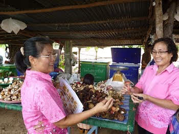 ออกตรวจแนะนำร้านจำหน่ายเห็ดป่า ตำบลห้วยไร่