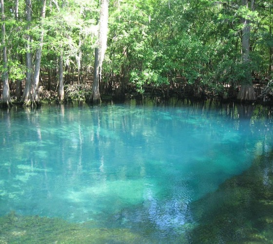 List 101+ Pictures Manatee Springs State Park Photos Stunning