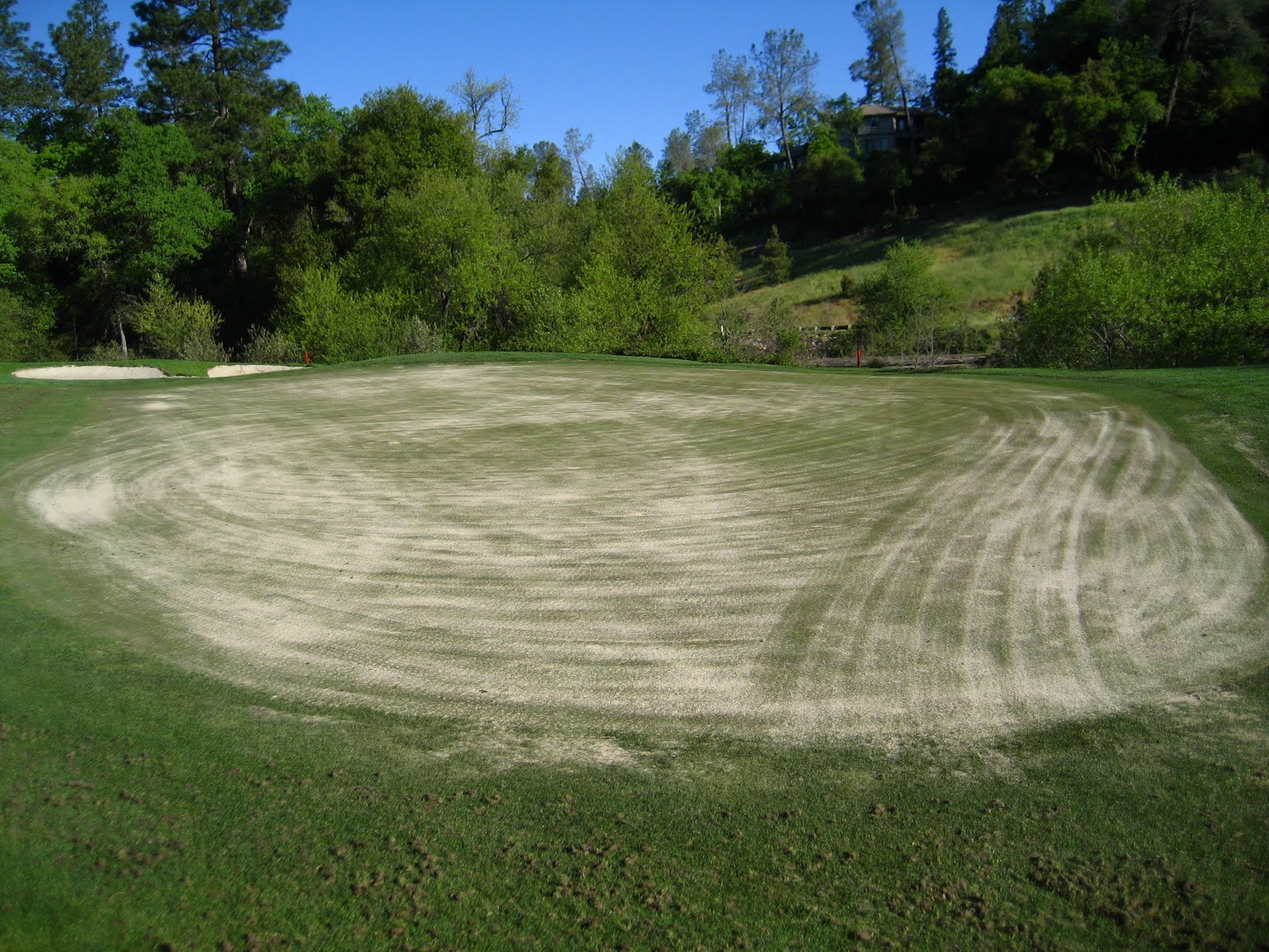 Winchester Country Club Golf Course Maintenance Course Aeration Day 2