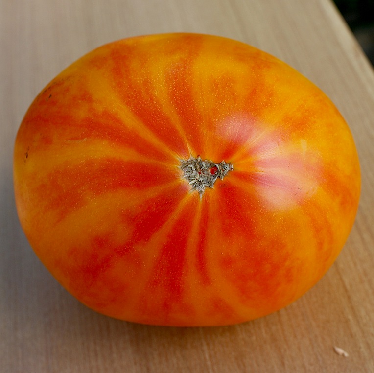 Frogsleap Farm control of fruit stripes in tomato