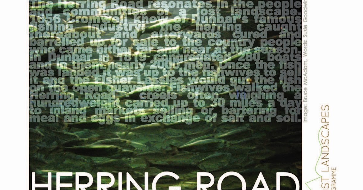 MTB Innerwick Stravaiger The 'Herring Road'