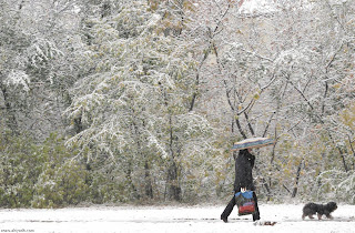  صور رائعة للثلوج تزور ألمانيا باكراً  1+%287%29