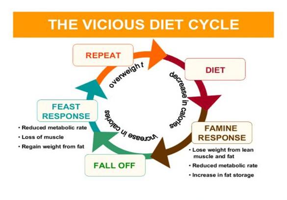 Diet+Cycle.jpg