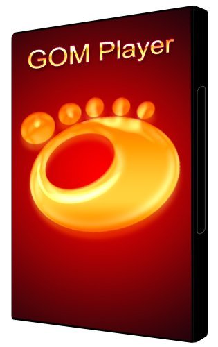 gom player portable free