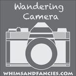 Wandering Camera