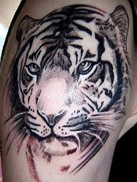 tatouage de mod 232 le de tatouage tatouage de mod 232 le de tatouage