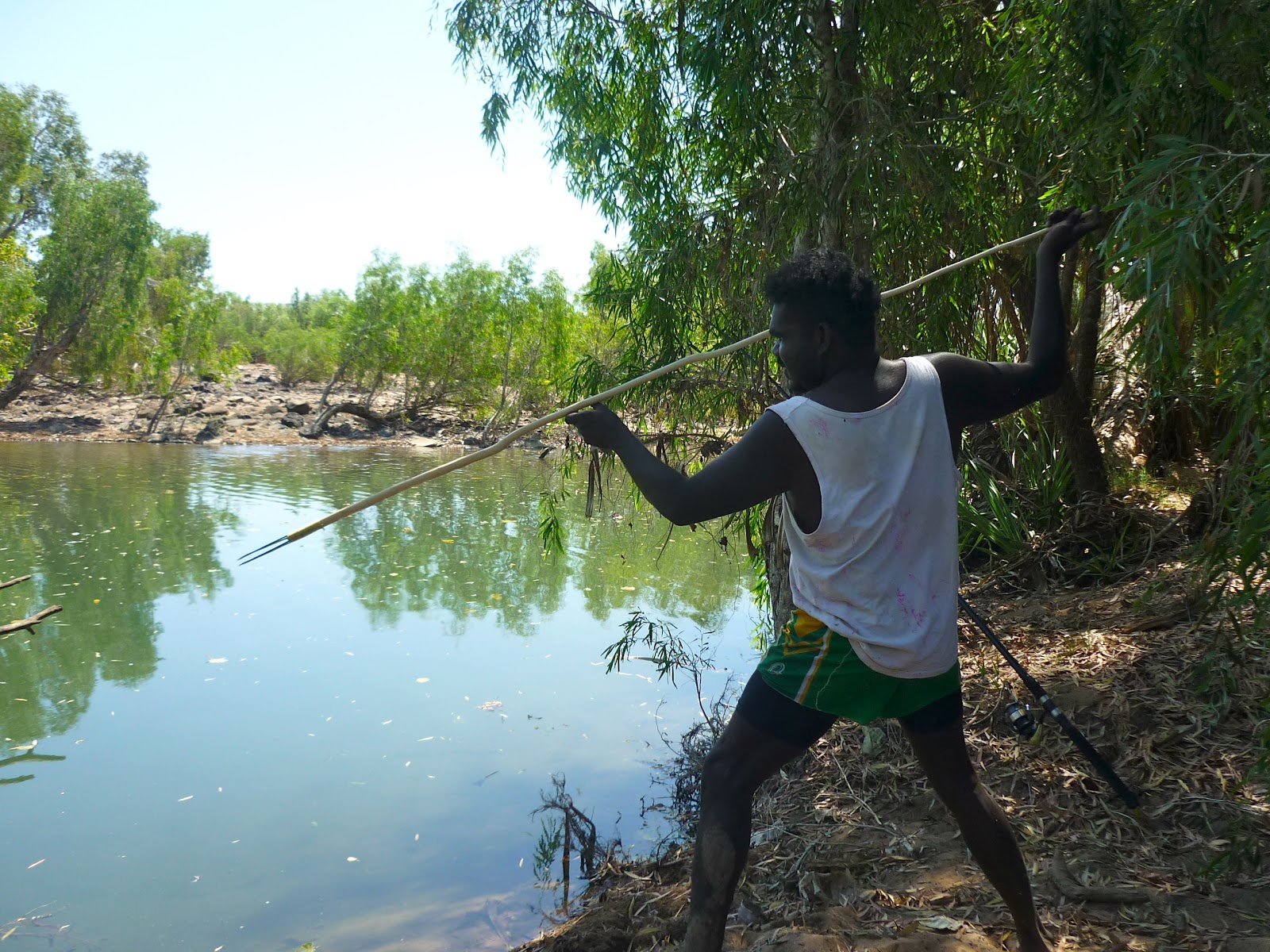 Life @ Robinson River: Butterflies and Finches