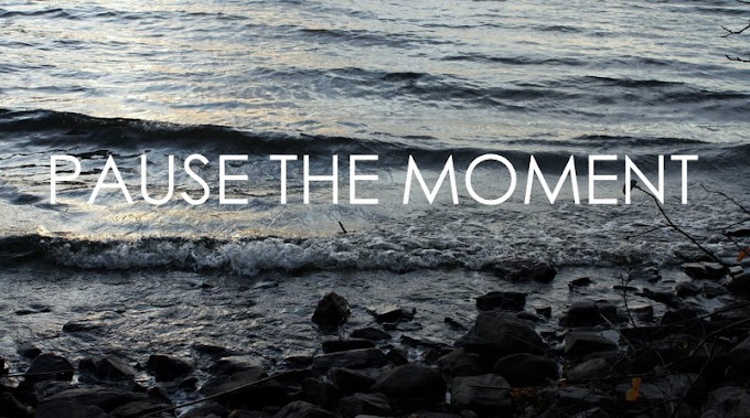 Pause the moment