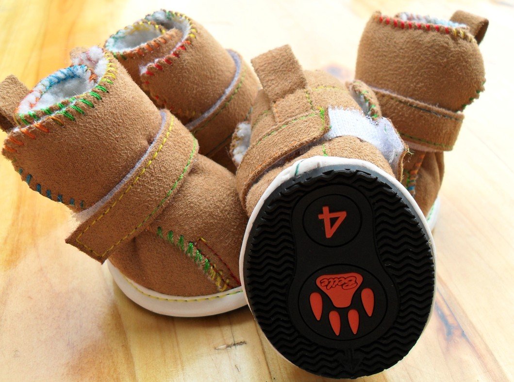 All List Of Different Dogs Breeds Beautiful Dog Shoes