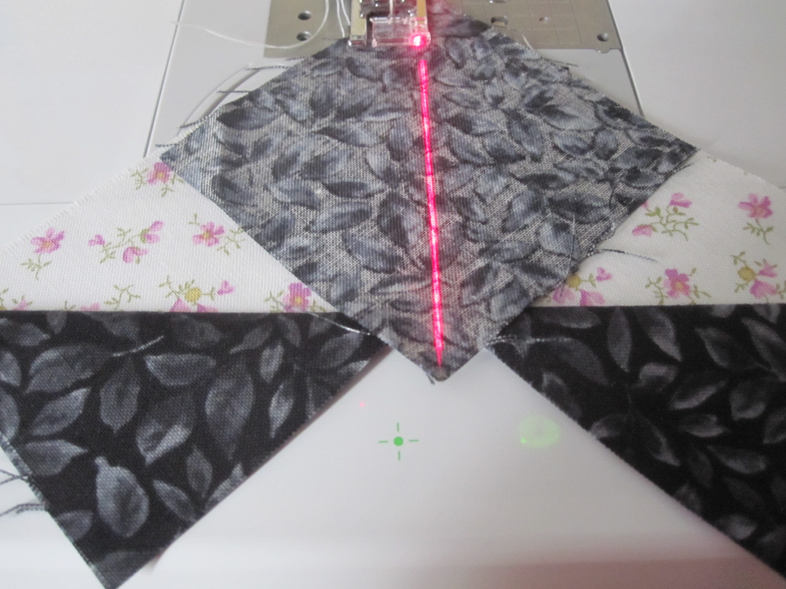 Paula Reid Machine Quilter Brother Sew Straight Laser Guide Part 2