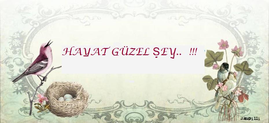 HAYAT GÜZEL ŞEY