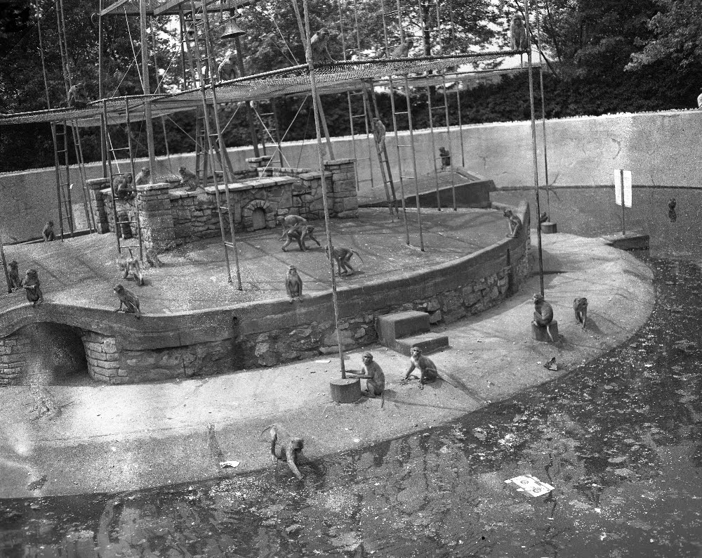 The Circus "NO SPIN ZONE" Vintage Monkey IslandsMichigan City Zoo