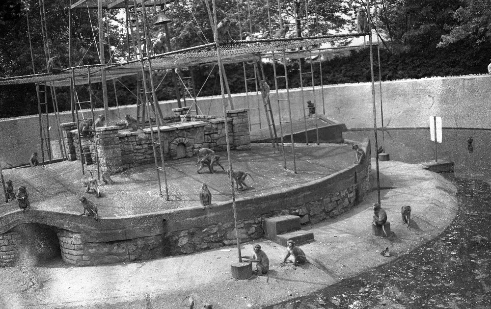 The Circus No Spin Zone Vintage Monkey Islands Michigan City Zoo