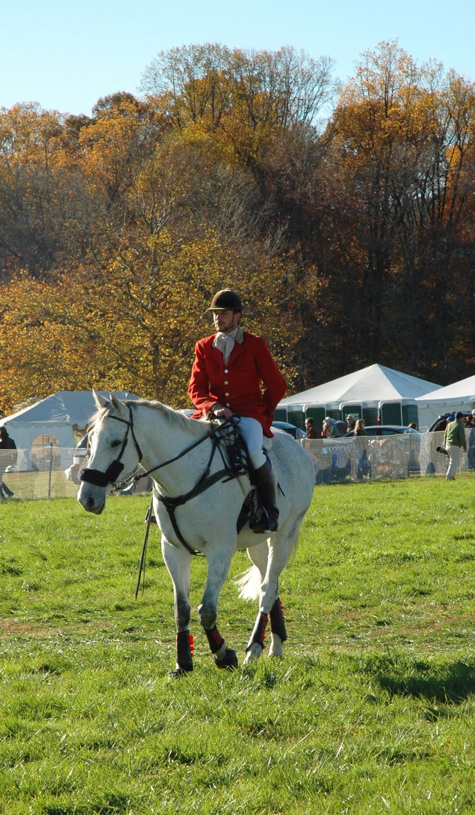 The Trad My Hunt Cup Over