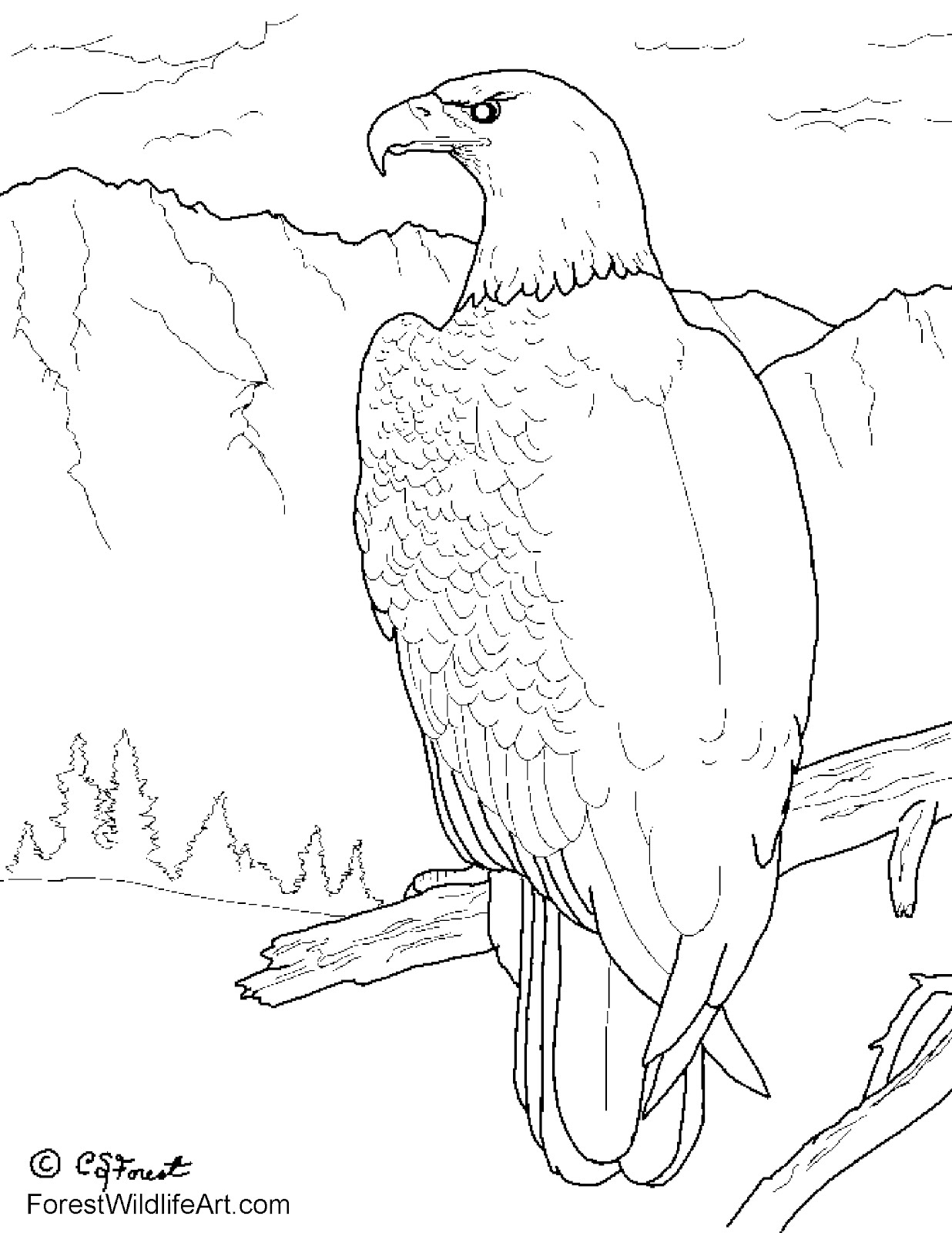 Crista Forest's Animals & Art: Bald Eagle Coloring Book Page