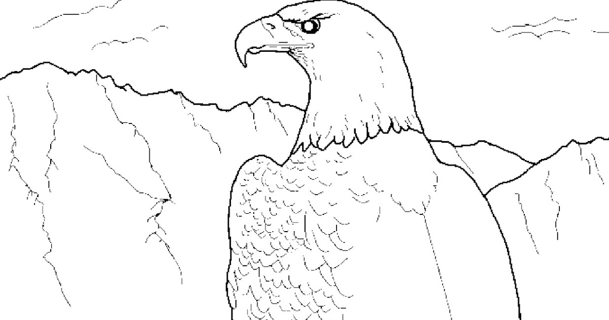Forest Wildlife Art: Bald Eagle Coloring Book Page