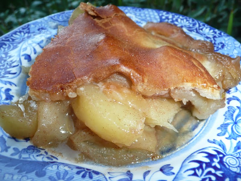 Everyday Dutch Oven Easy Skillet Apple Pie