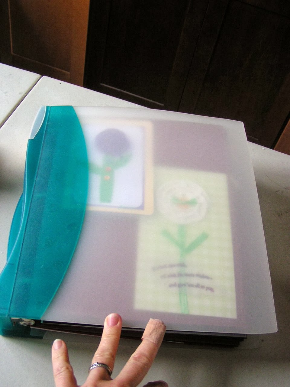 How to Save and Organize Cards Inexpensive and Neat! (Video) ScraPerfect