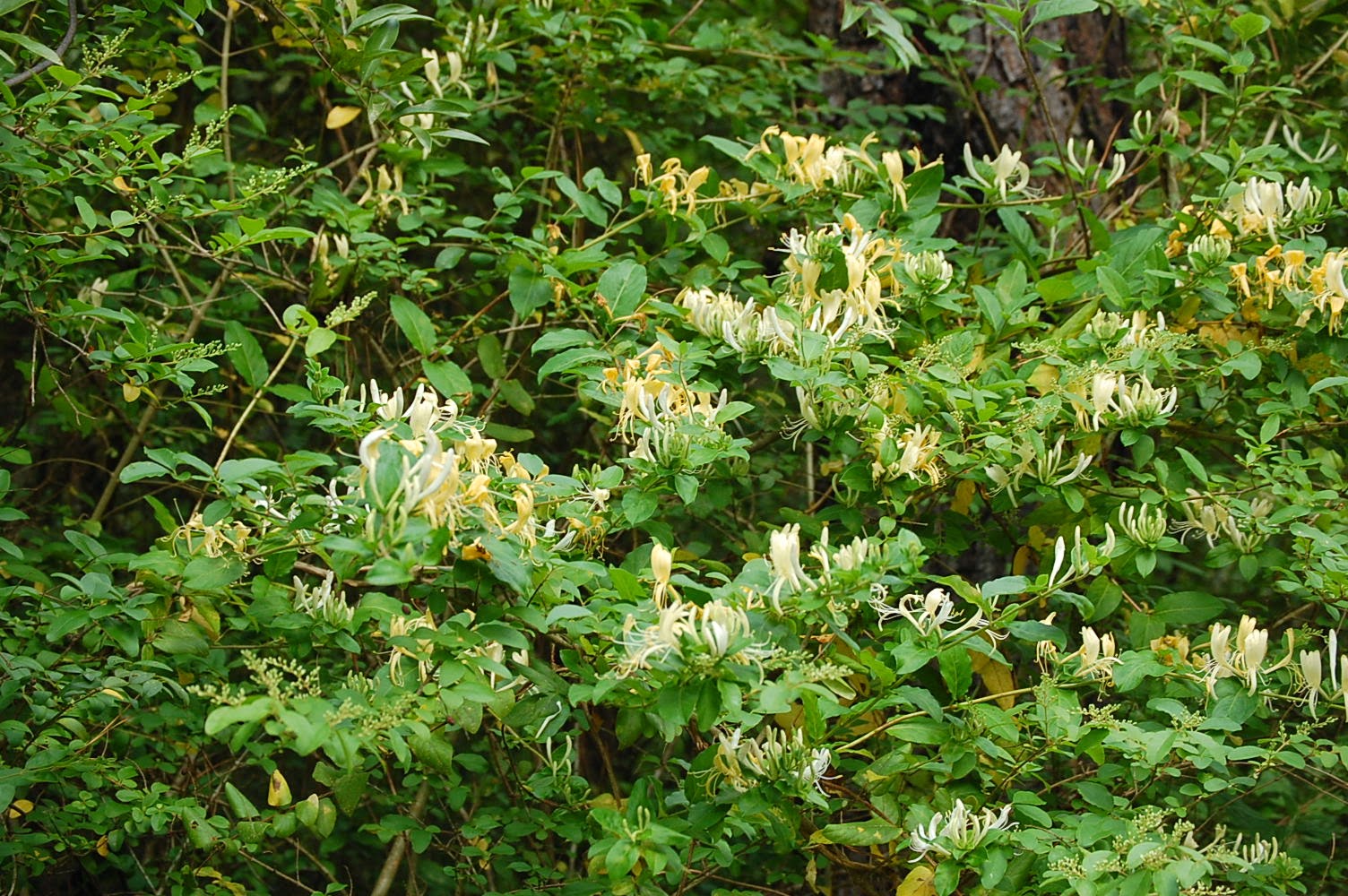 On The Road Again Travels With Linda And Jim Fort Benning Uchee
