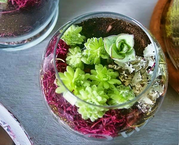 5 formas diferentes de montar un "minijardÃn" en tu piso o ...