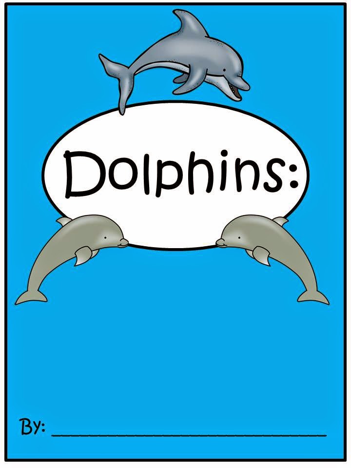 Research about dolphins image