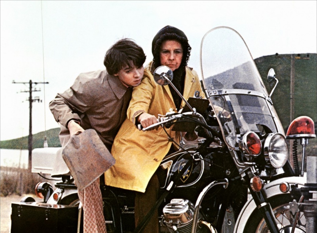 film Harold et Maude streaming vf - voirfilmsws