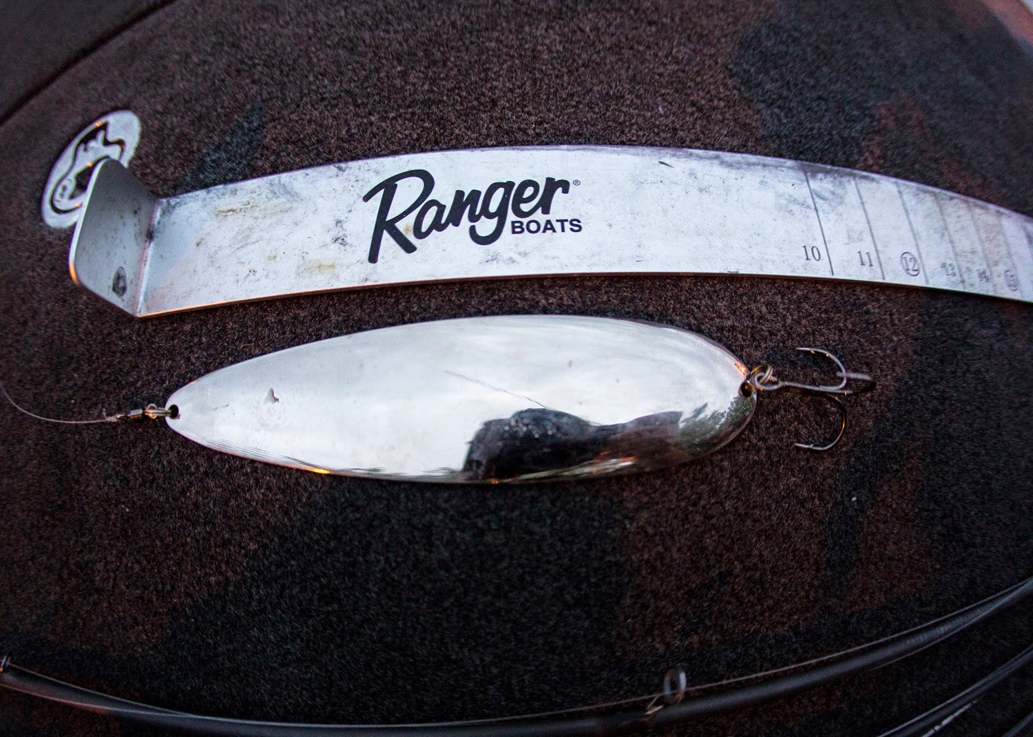 IBASSIN Magnum Spoons, the new ledge fishing super bait.