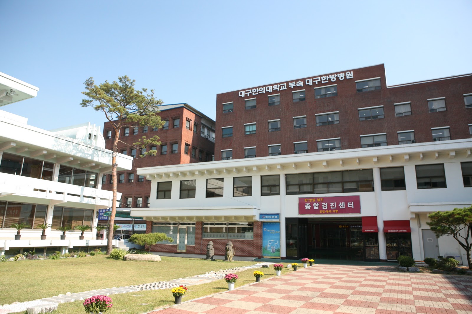 Fun & Free Daegu Travel Korean Traditional Medical Experience Center