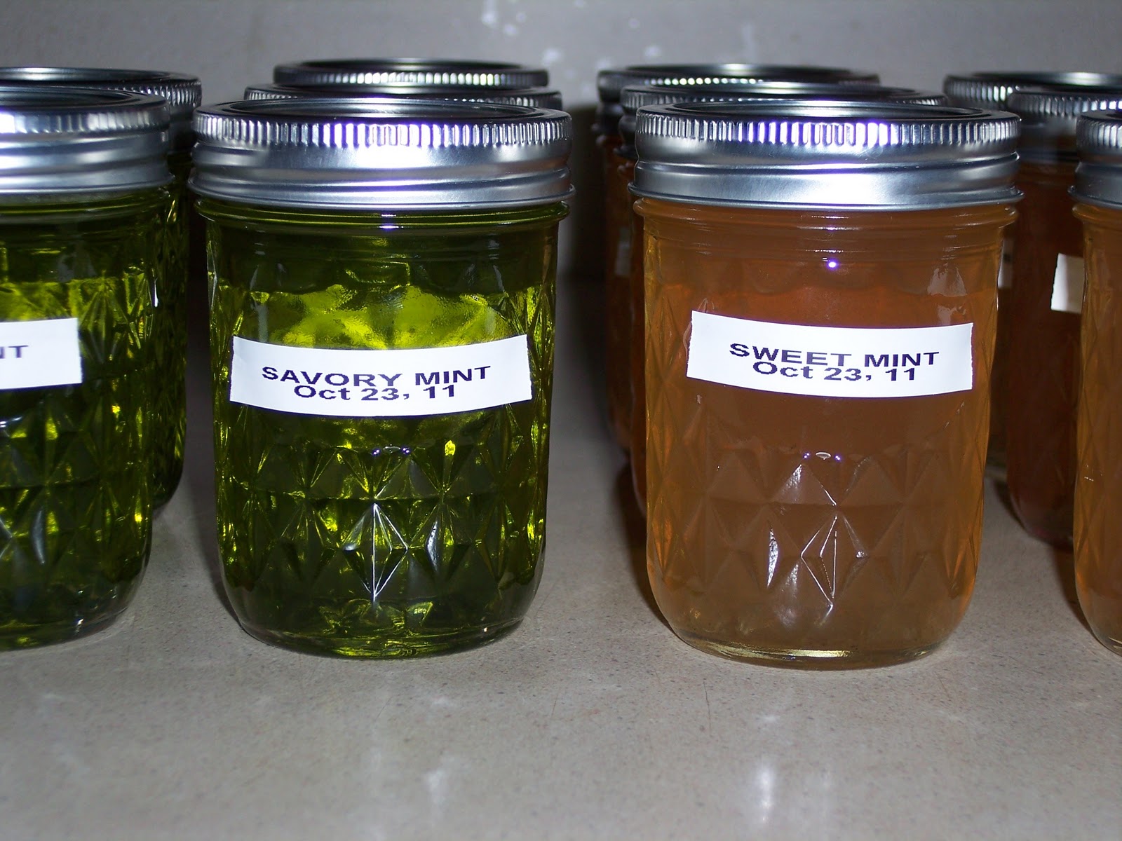 Stone Cottage Adventures Savory Mint Jelly