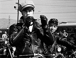 Vieilles photos (pour ceux qui aiment les anciennes photos de bikers ou autre......) - Page 2 Marlon%2BBrando%2B%2BLe%2BWild%2BOne