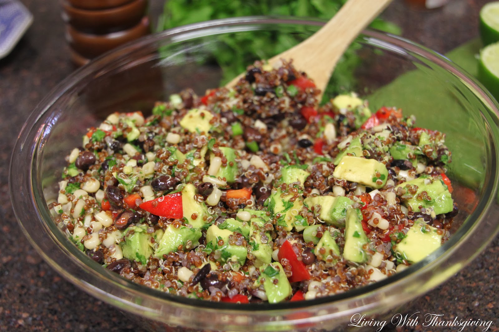 Red Quinoa and Black Bean Salad Living With Thanksgiving