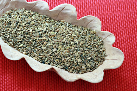 anise seeds benefits