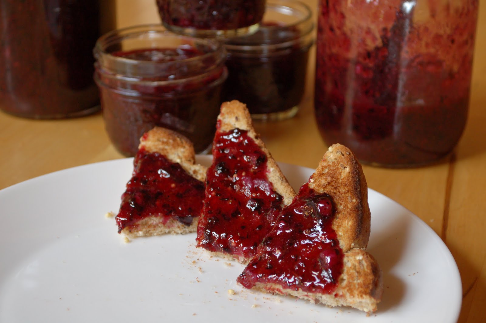 Omniblend Blenders Italian plum and blueberry freezer jam