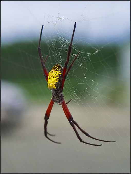 Worlds Most Poisonous amazing world