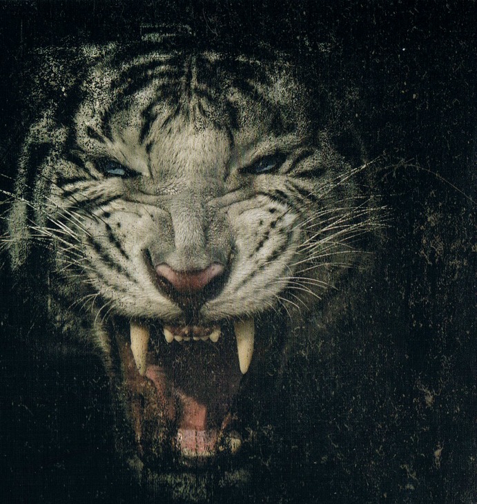 Animal Ambition: An Untamed Desire To Win Deluxe