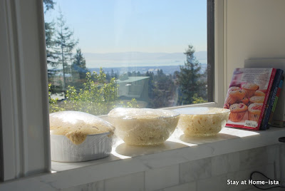 challah rising in the sun