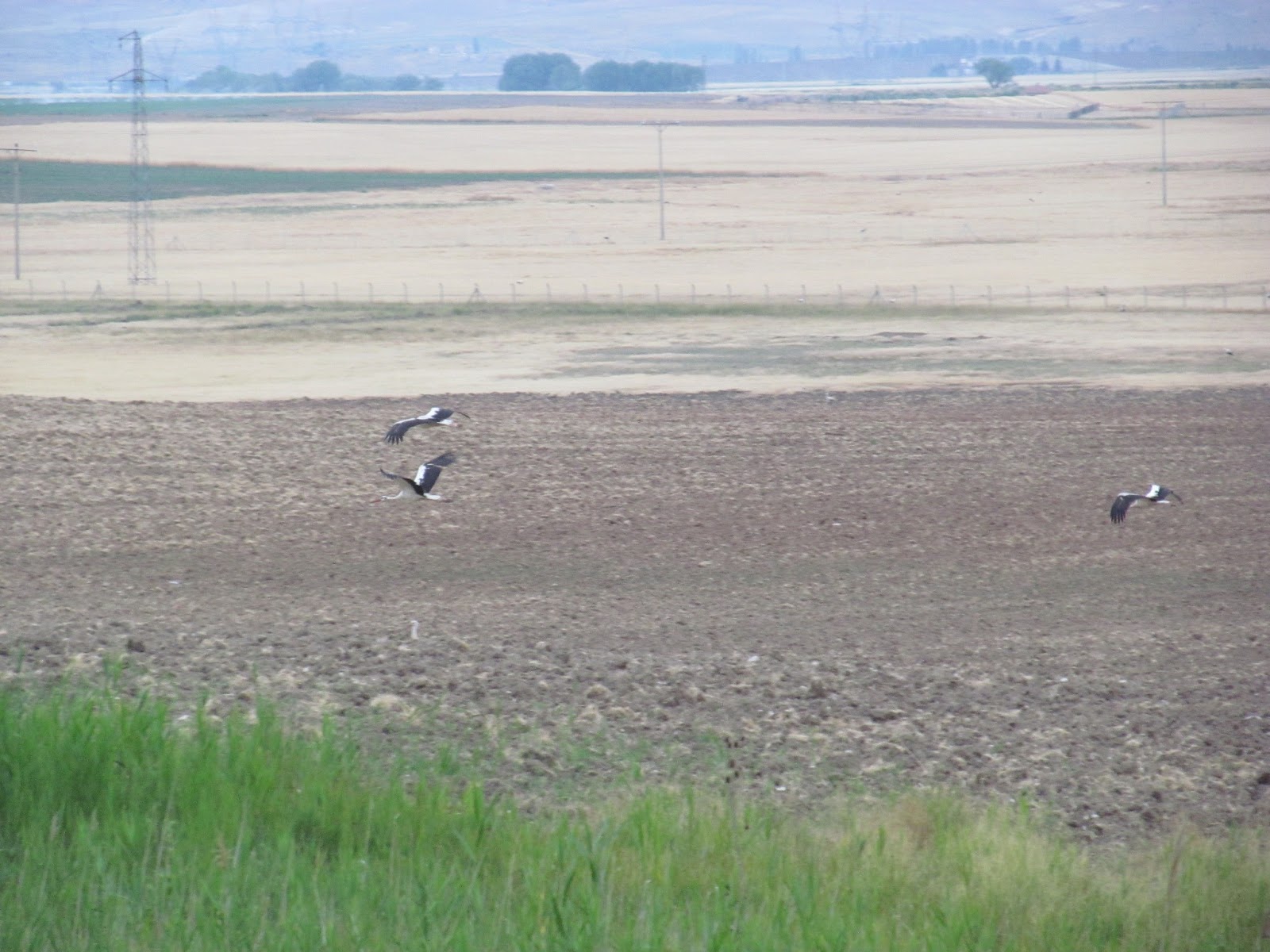 Ankara Eskisehir Arasi Bisikletle Yolculuk