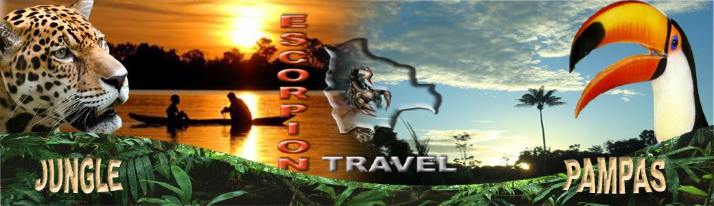 ESCORPION TRAVEL