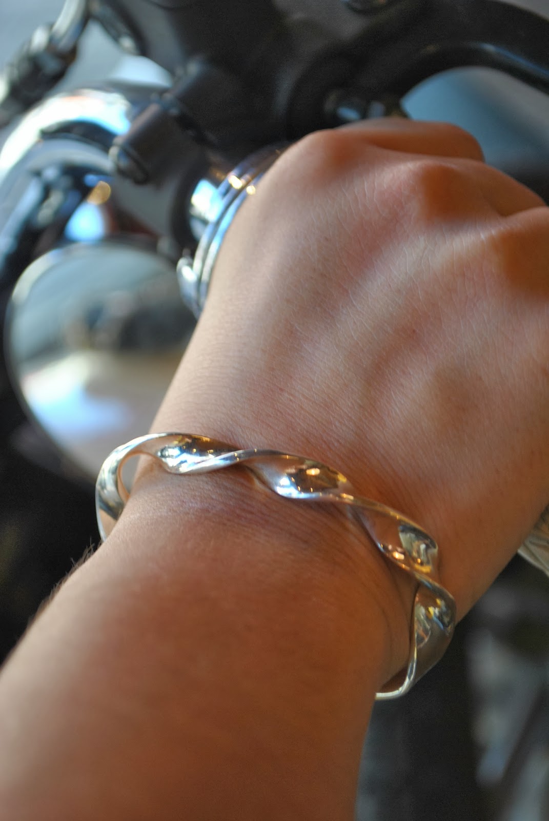 Emiliano: RADIALL FENDER STAY SILVER