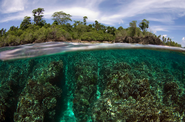 Pulau Samada Besar - Wisata PULAU TALIABU (Provinsi Maluku Utara)