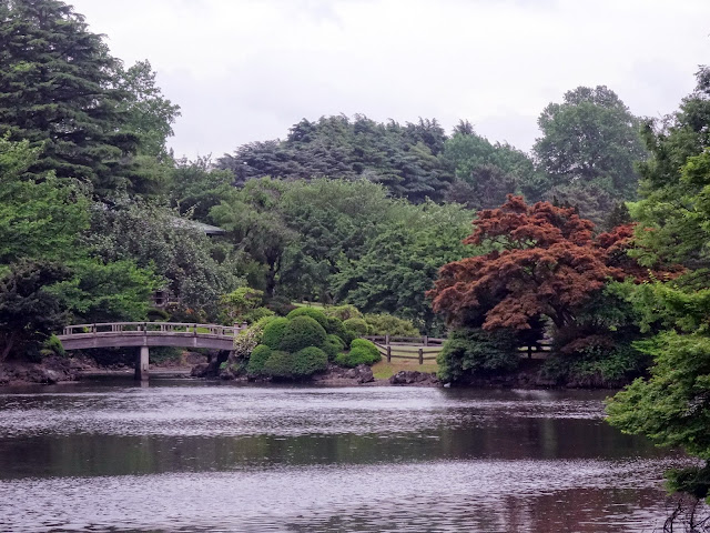 日本庭園,新宿御苑〈著作権フリー無料画像〉Free Stock Photos