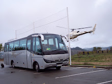 Tamb&eacute; podem anar a volar.....