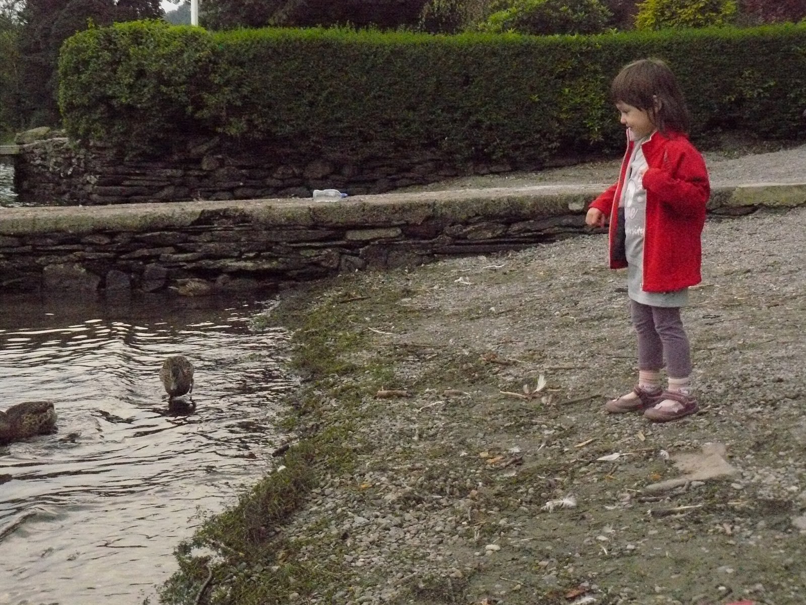 Ambleside Central Guest House Family activities Ambleside pier and