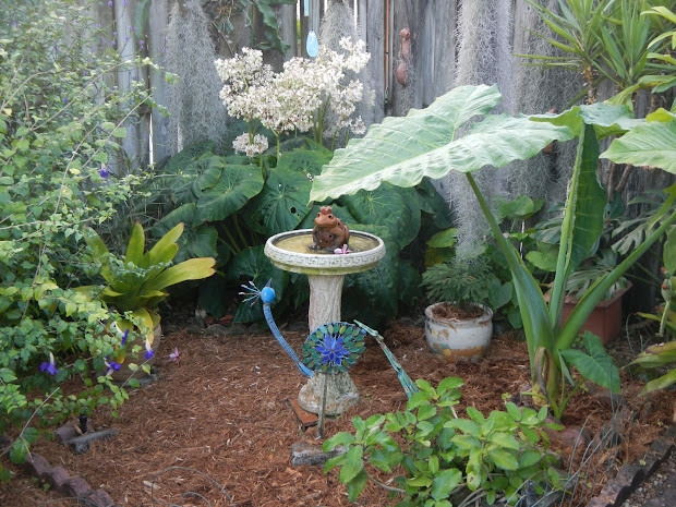 dragonfly garden cypress eucalyptus