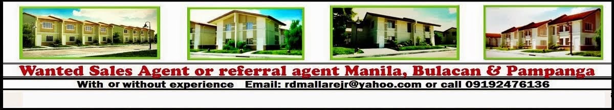 house for sale near philippine arena