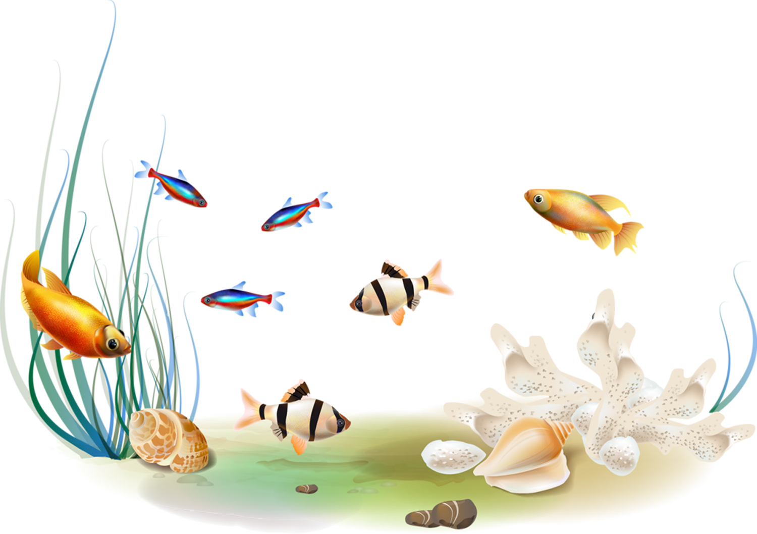 Só png ☼ TUBES PNG