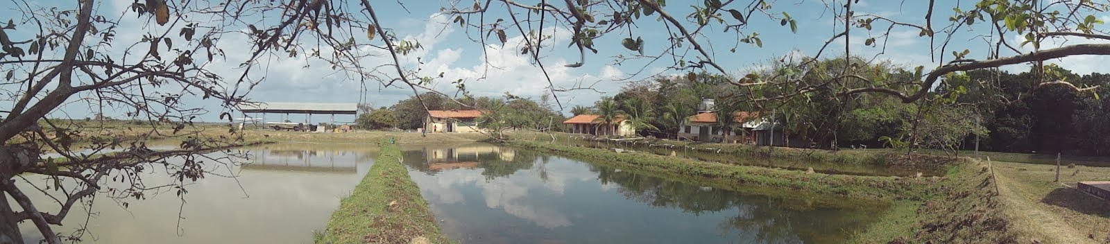 Estación Mausa