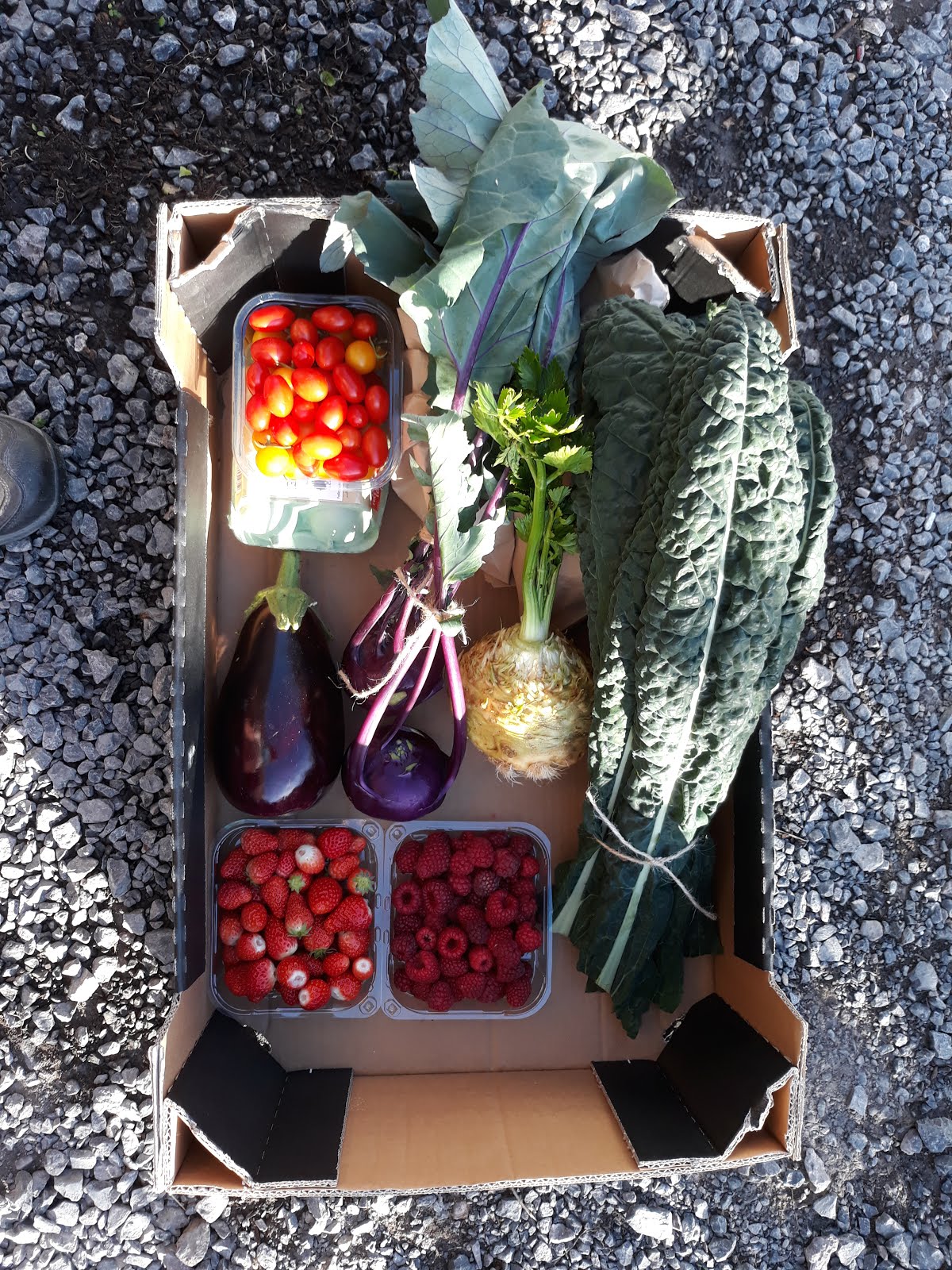 October veg box